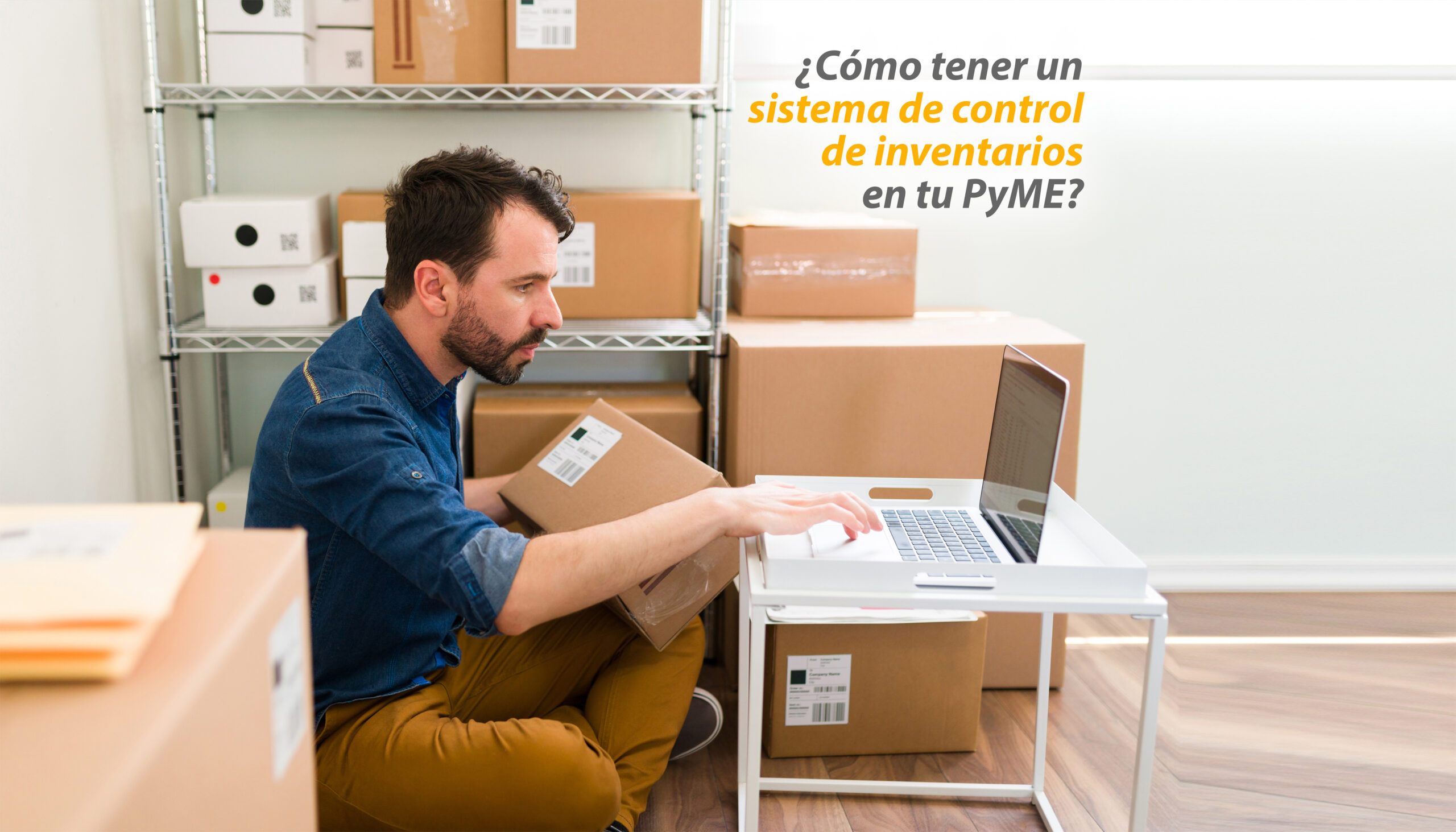 Control de inventarios SAP Business One