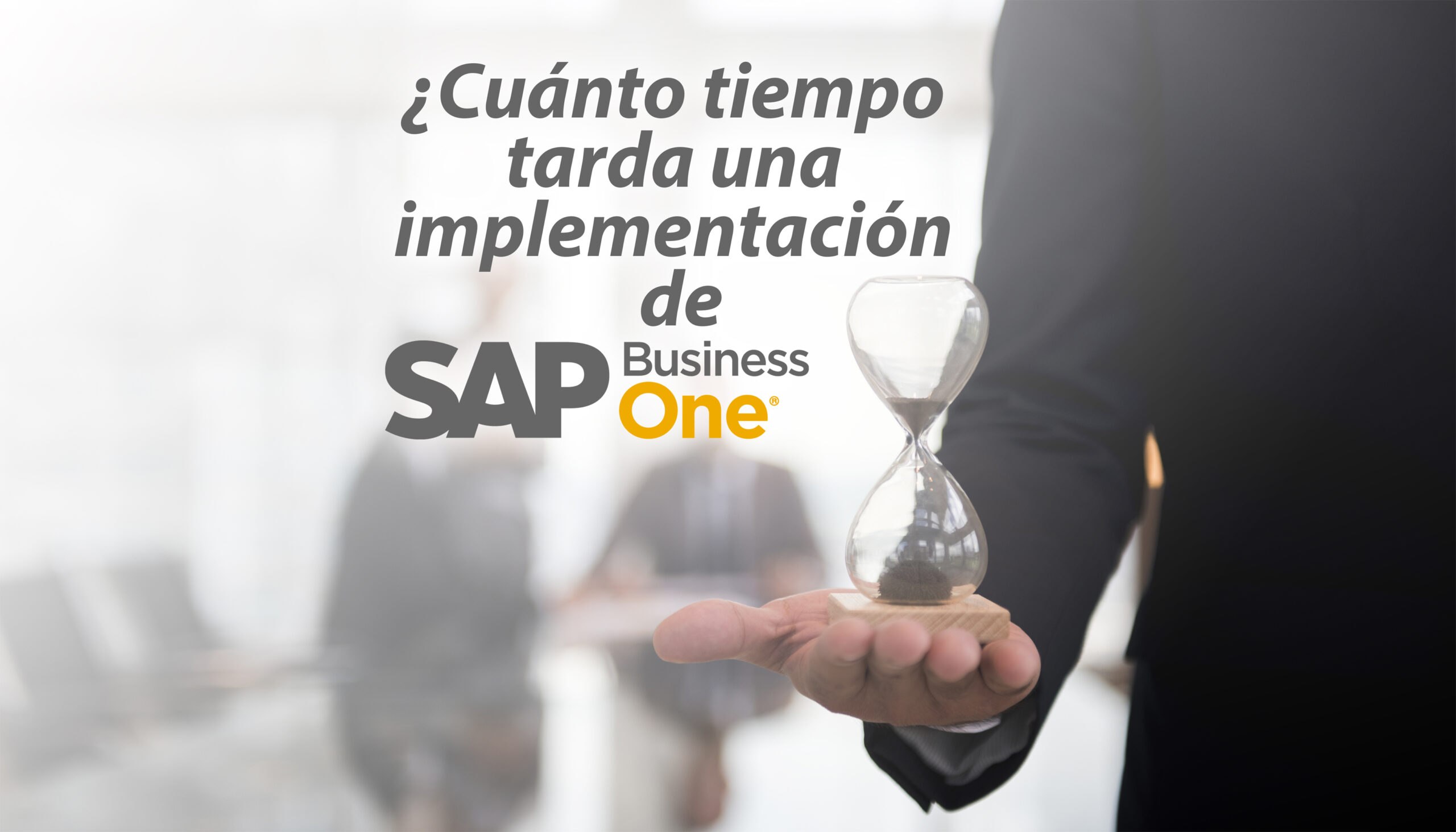 Cuanto tiempo tarda SAP Business One
