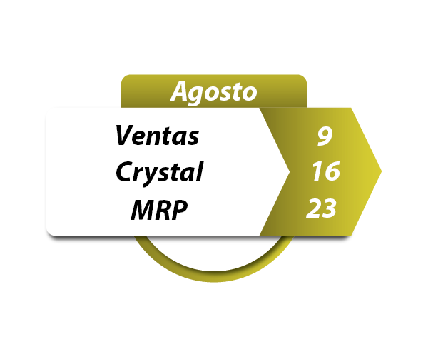 Curso Ventas - Crystal - MRP SAPAgosto 2023