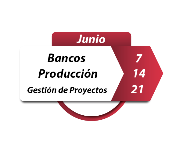 Curso Bncos - Producción - Gestión de Proyectos SAP Junio 2023