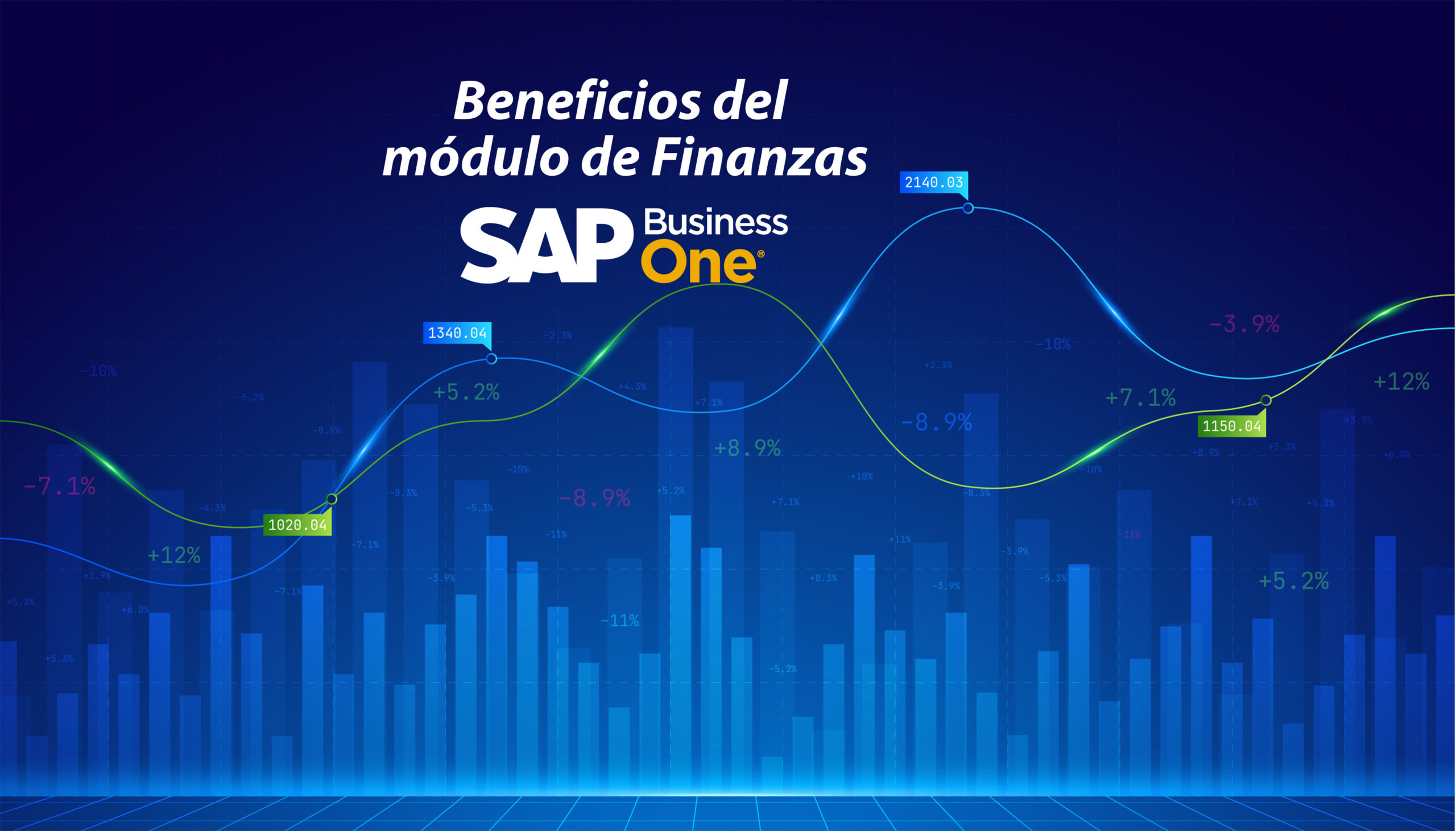 Finanzas - SAP Business One