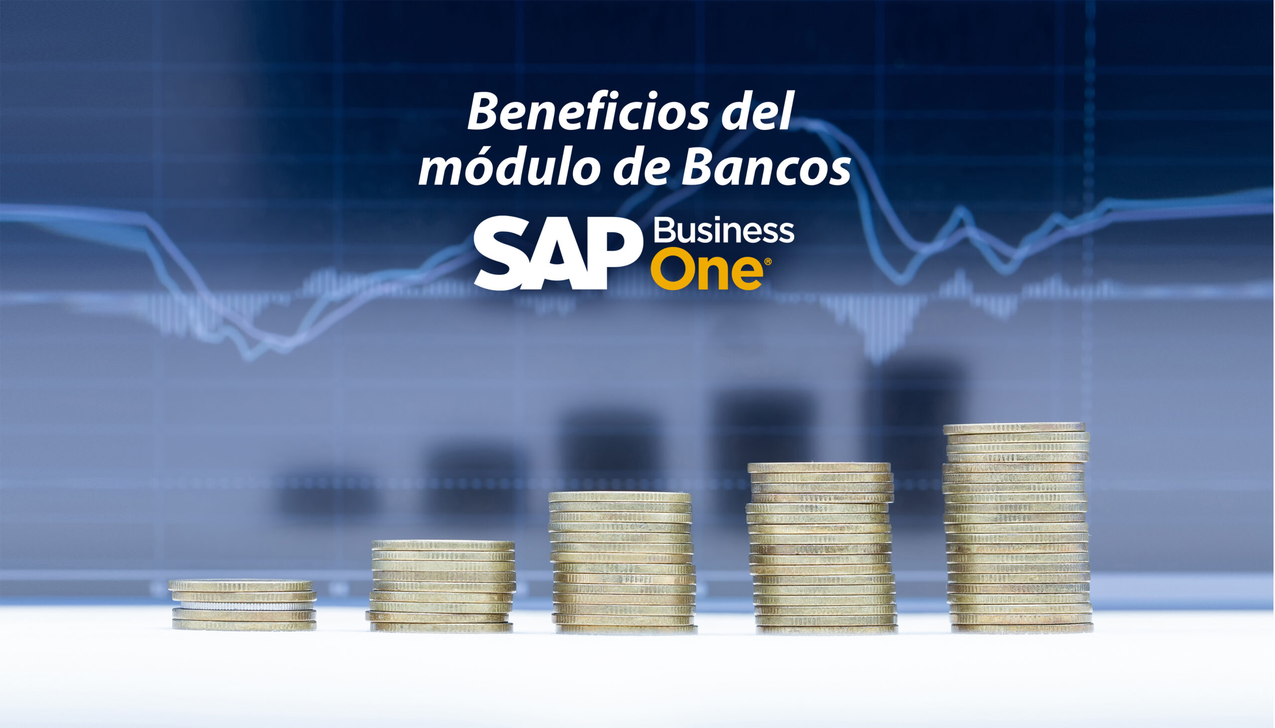 Modulo Bancos SAP Business One