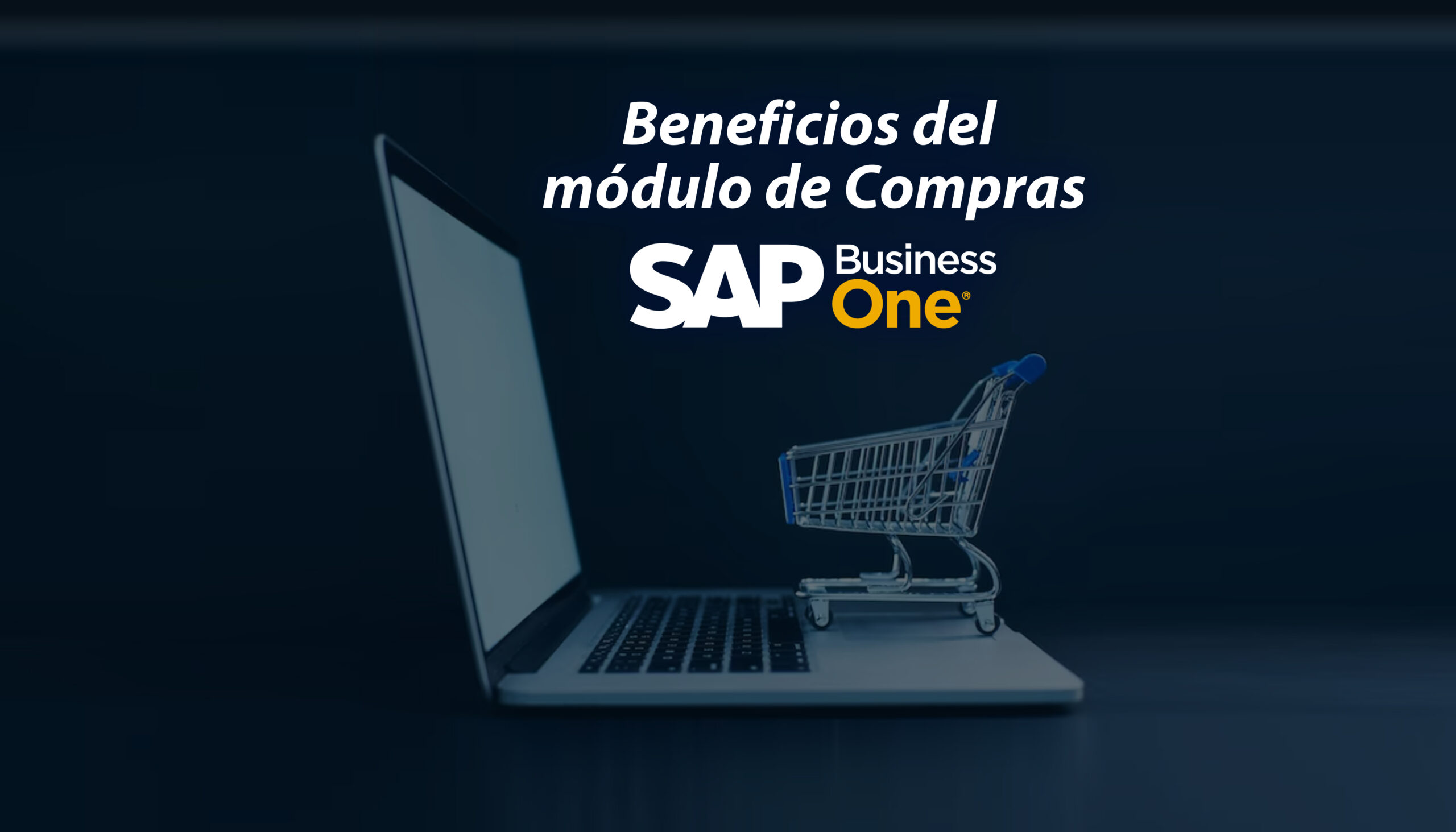 Modulo de Compras SAP Business One