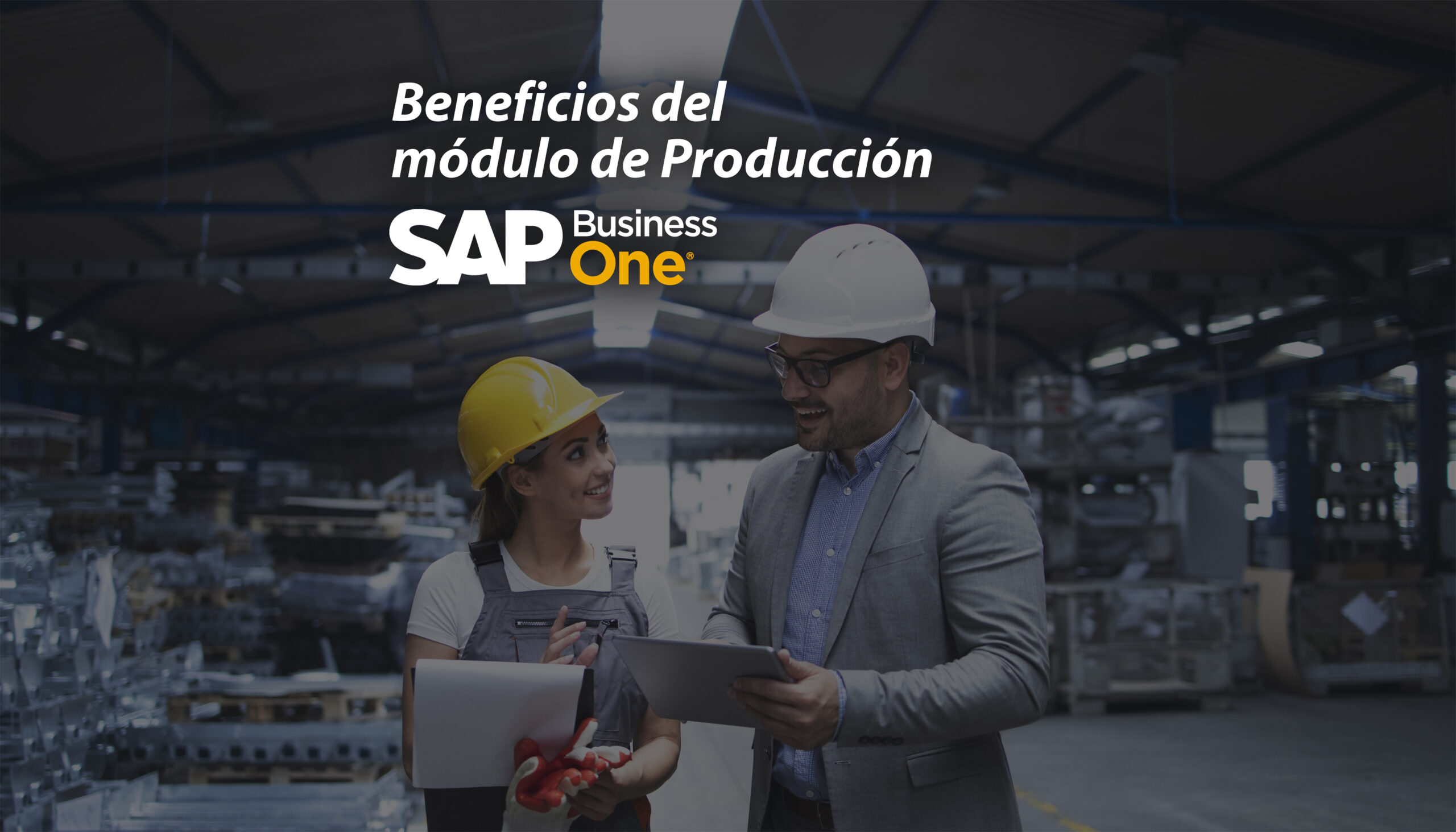 Producción - SAP Business One