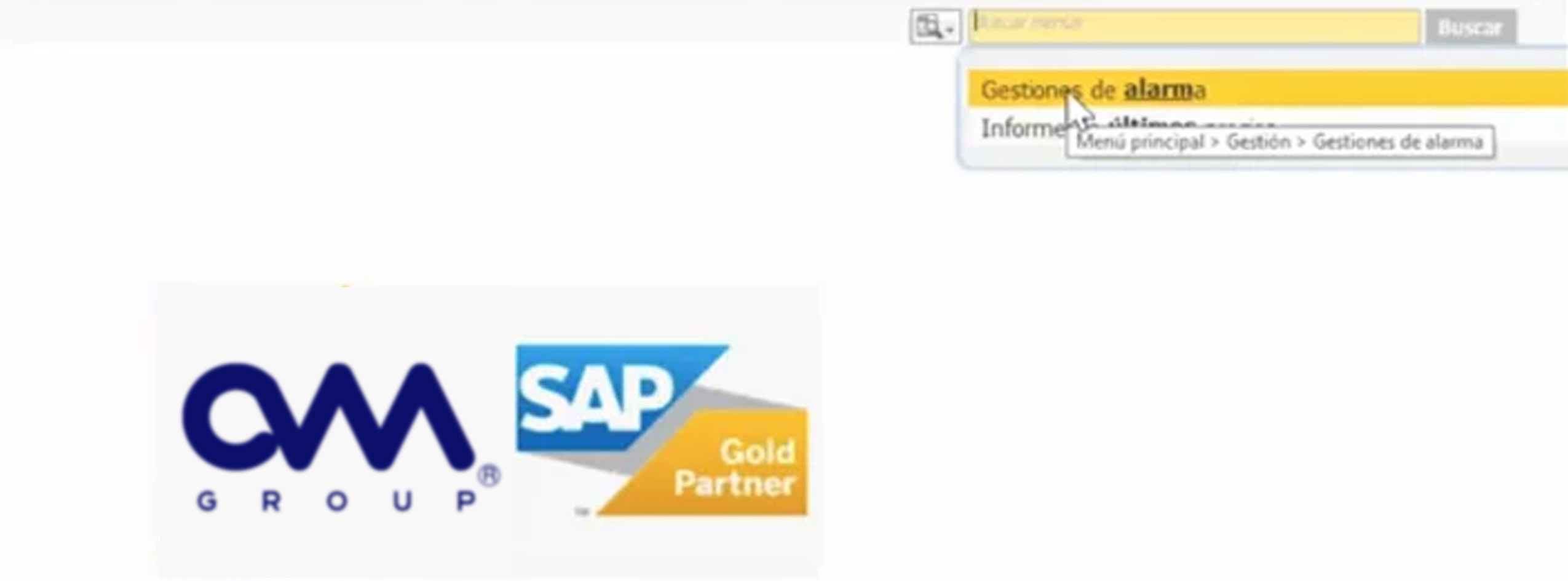 Alarmas SAP business One Paso 2