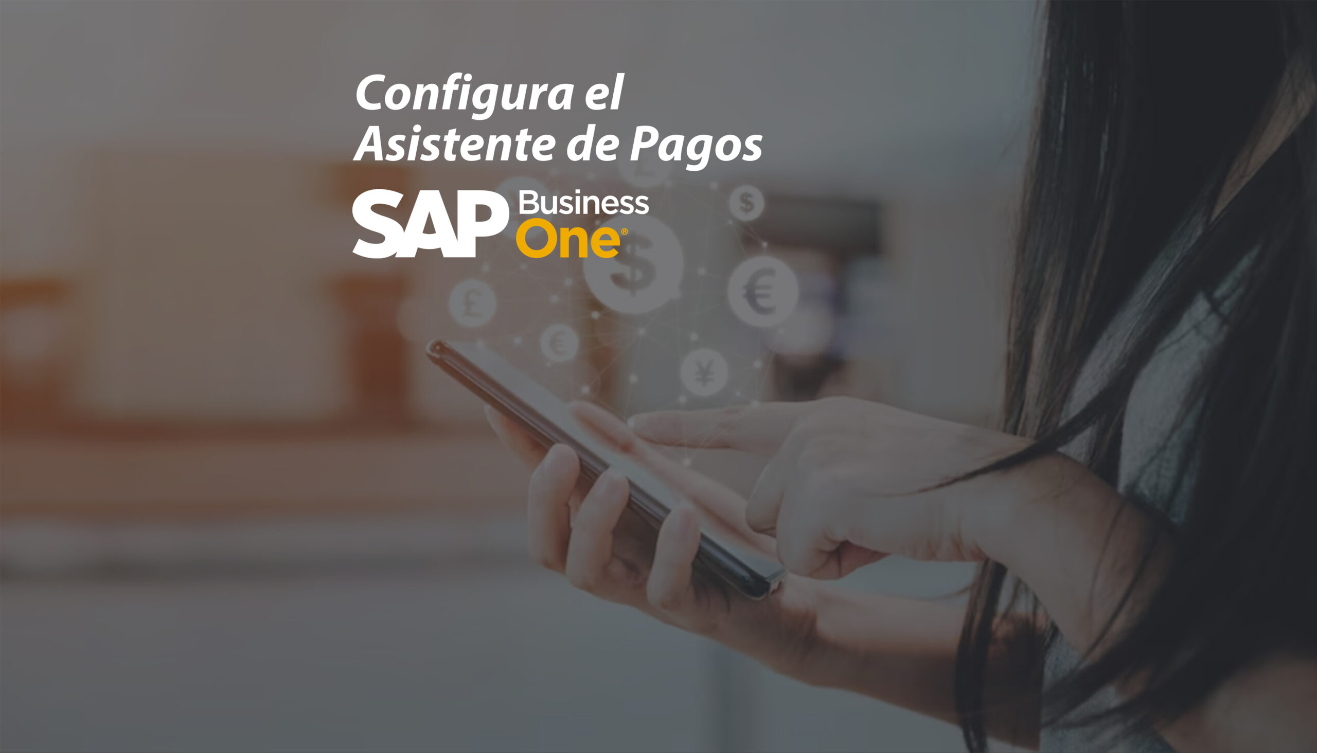 Configurar Asistente de Pagos SAP Business One