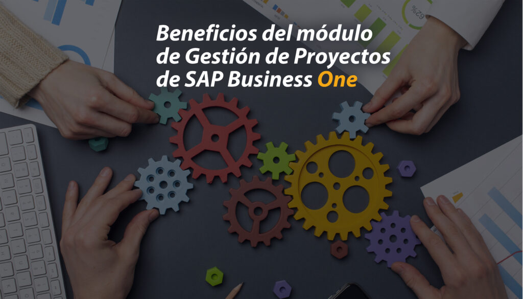 Gestion de Proyectos SAP Business One