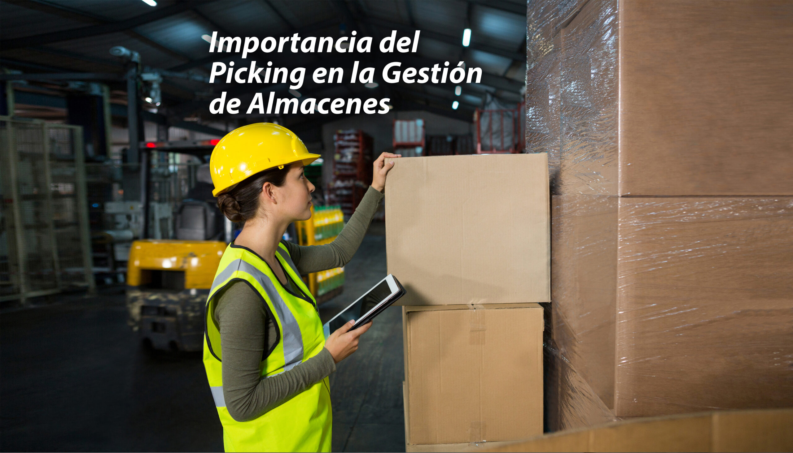 Picking en la Gestion de Almacenes