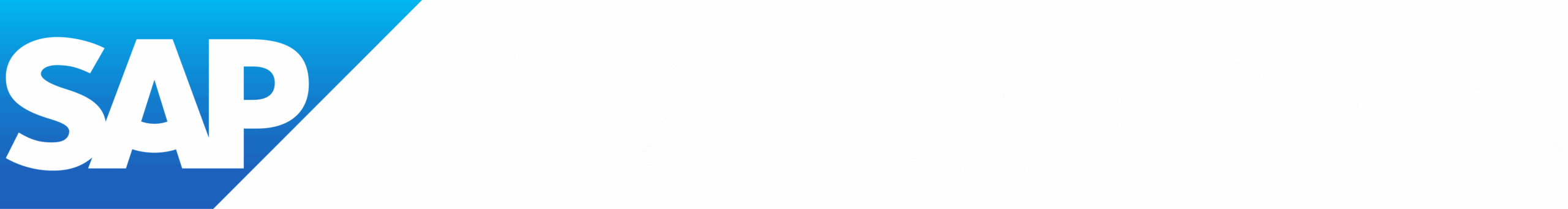 ERP SAP Business One México