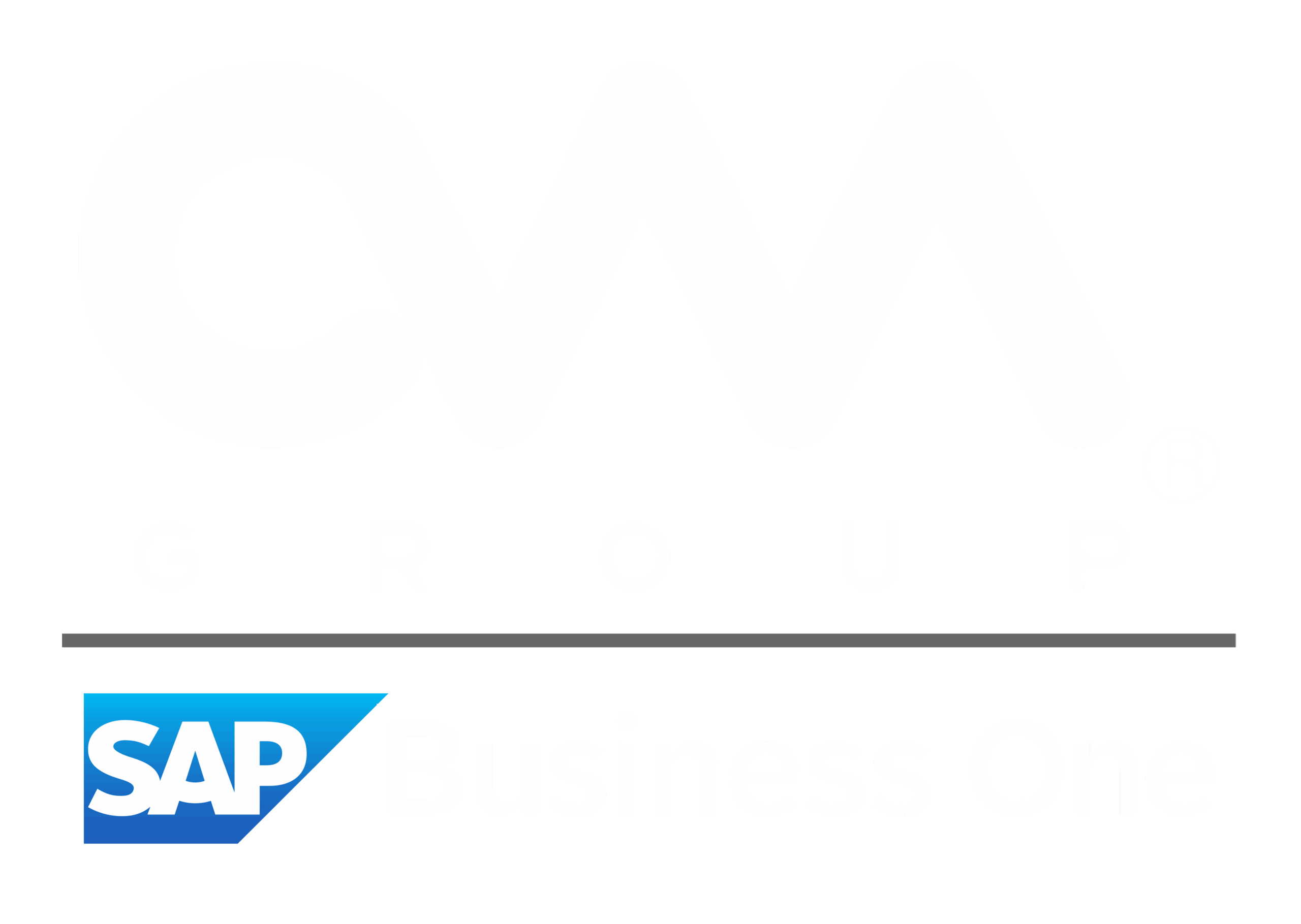 ERP SAP Business One Mexico